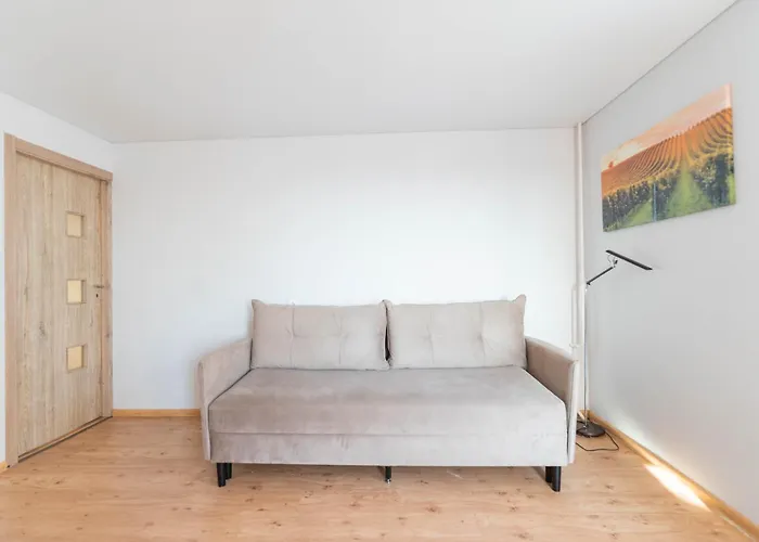 公寓 Seskines 61 Spacious Cozy 维尔纽斯